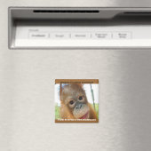 オーファン動物春プロモーション マグネット (インサイチュ (食洗機))