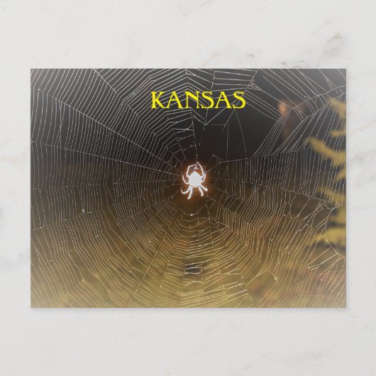 オーブウィーバーアットナイト ポストカード (正面)