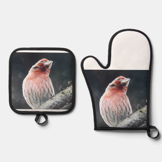 オーブンミッツとポットホルダー – フィンチ 鍋つかみ&鍋敷きセット (正面)