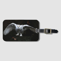 オープンウィングス付きスノーフクロウbc ltcna