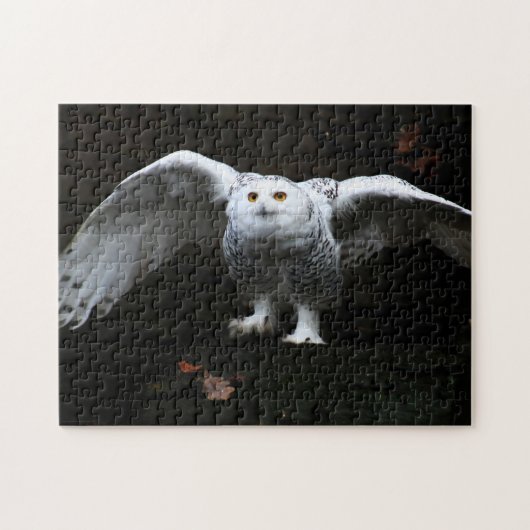 オープンウィング付きスノーフクロウ11x14 252pc jpcna ジグソーパズル (横)
