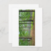 オープンフォレスト サンキューカード (正面/裏面)