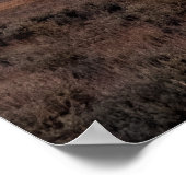 オープンプレーリーグランドテトン ポスター (角)