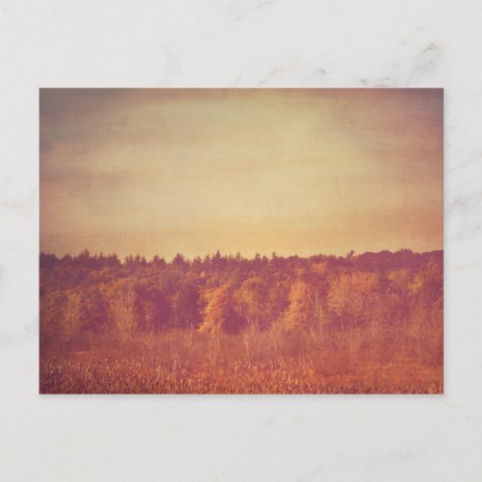 オープン宇宙はがき ポストカード (正面)