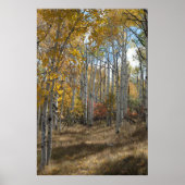 オープン・ウッズ ポスター (正面)