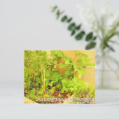 オーベルギネス&マリゴールド ポストカード (スタンド正面)