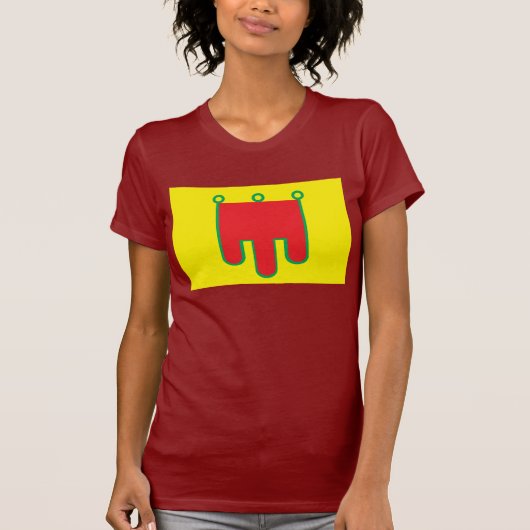 オーベルニュ山地の旗のTシャツ Tシャツ (正面)