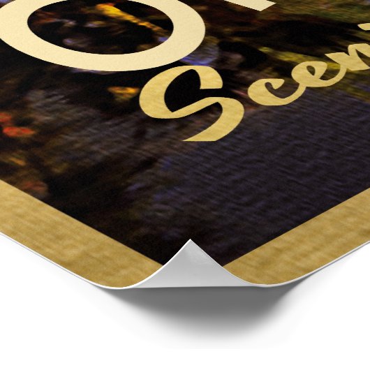 オーモンド風光明媚なループ ポスター (角)