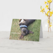 オーラチワワ誕生日カード カード (黄色い花)