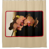 オーランズイエローコーラルピンク写真フローラタン シャワーカーテン (正面)