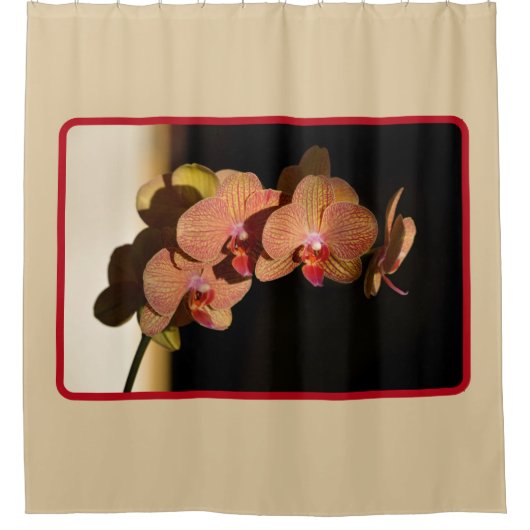 オーランズイエローコーラルピンク写真フローラタン シャワーカーテン (正面)