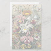 オーランズバイエルンストヘイケル 便箋 (正面/裏面)