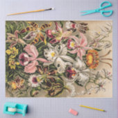 オーランズバイエルンストヘイケル 薄葉紙 (クラフト)