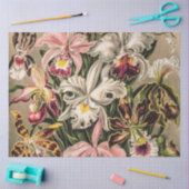 オーランズバイエルンストヘイケル 薄葉紙 (クラフト)