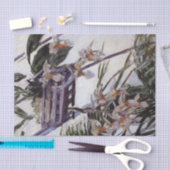 オーランズバイグスタヴカイレボッテティッシュペーパー 薄葉紙 (クラフト)