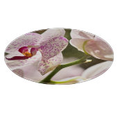 オーランズバイシャーリー・テイラー カッティングボード (角)