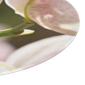 オーランズバイシャーリー・テイラー カッティングボード (角)