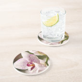 オーランズバイシャーリー・テイラー コースター (側面)