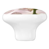 オーランズバイシャーリー・テイラー セラミックノブ (側面)