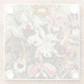 オーランズ，オーキデエデヌスブルメンエルンストハエッケル ガラスコースター (裏面)