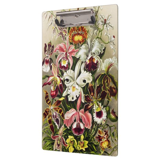 オーランズ,オーキデエデヌスブルメンエルンストハエッケル クリップボード (左)