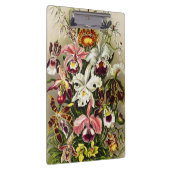 オーランズ,オーキデエデヌスブルメンエルンストハエッケル クリップボード (右)