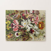 オーランズ，オーキデエデヌスブルメンエルンストハエッケル ジグソーパズル (横)