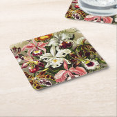 オーランズ，オーキデエデヌスブルメンエルンストハエッケル スクエアペーパーコースター (アングル)