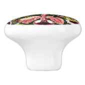 オーランズ，オーキデエデヌスブルメンエルンストハエッケル セラミックノブ (側面)