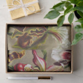 オーランズ，オーキデエデヌスブルメンエルンストハエッケル 薄葉紙 (ギフト)