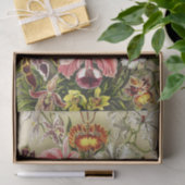 オーランズ,オーキデエデヌスブルメンエルンストハエッケル 薄葉紙 (ギフト)