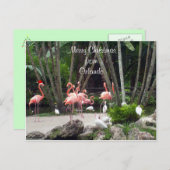 オーランドからのメリークリスマス – ピンクのフラミンゴ シーズンポストカード (正面/裏面)