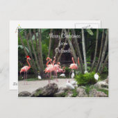 オーランドからのメリークリスマス – ピンク・フラミンゴ， シーズンポストカード (正面/裏面)