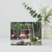 オーランドからの聖降誕祭-ピンクのフラミンゴス シーズンポストカード (スタンド正面)