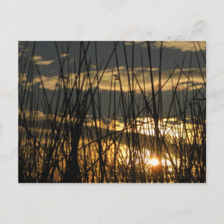 オーランドサンセット ポストカード