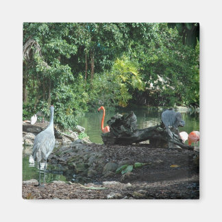 オーランドフロリダ磁石 マグネット