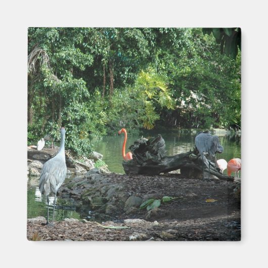 オーランドフロリダ磁石 マグネット (正面)