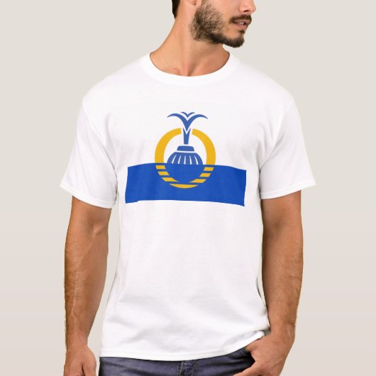 オーランド州旗 Tシャツ (正面)