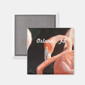 オーランド マグネット (正面/裏面)