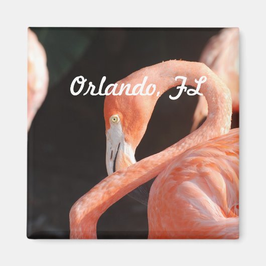 オーランド マグネット (正面)