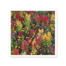 オーラ鮮やかンドフロリダ州の夏の花園