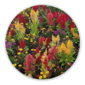 オーラ鮮やかンドフロリダ州の夏の花園 セラミックノブ (正面)