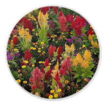 オーラ鮮やかンドフロリダ州の夏の花園