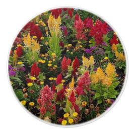 オーラ鮮やかンドフロリダ州の夏の花園 セラミックノブ