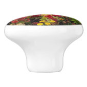 オーラ鮮やかンドフロリダ州の夏の花園 セラミックノブ (側面)