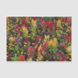 オーラ鮮やかンドフロリダ州の夏の花園 薄葉紙