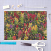 オーラ鮮やかンドフロリダ州の夏の花園 薄葉紙 (クラフト)