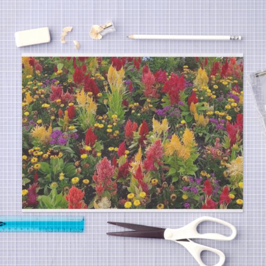 オーラ鮮やかンドフロリダ州の夏の花園 薄葉紙 (クラフト)