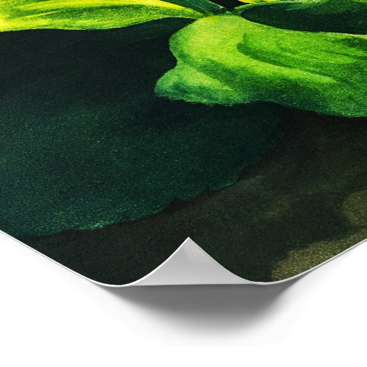 オーリカラ ポスター (角)