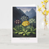 オーリキュラの群れ — 近代的な植物画の再解釈 カード (黄色い花)